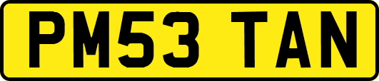 PM53TAN