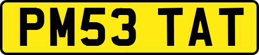 PM53TAT