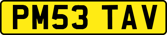 PM53TAV