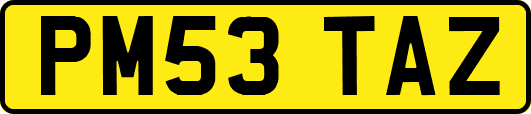 PM53TAZ