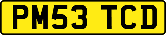 PM53TCD