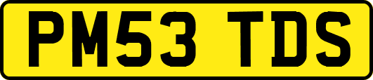 PM53TDS