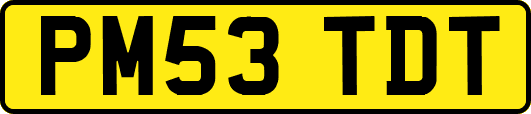 PM53TDT
