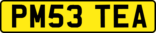 PM53TEA