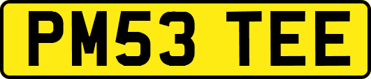 PM53TEE