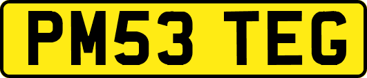 PM53TEG