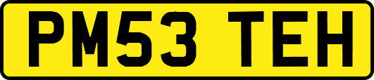 PM53TEH
