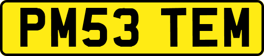 PM53TEM
