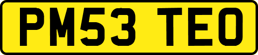 PM53TEO
