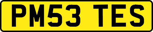 PM53TES