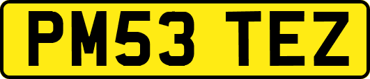 PM53TEZ