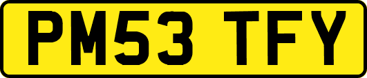 PM53TFY