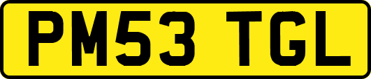 PM53TGL
