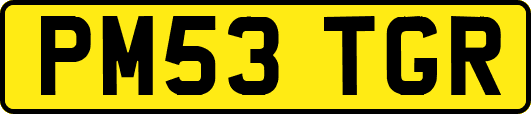 PM53TGR