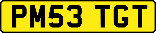 PM53TGT