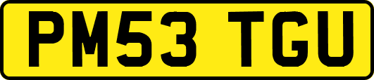 PM53TGU
