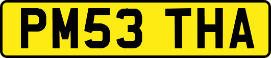 PM53THA