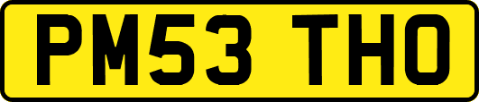 PM53THO