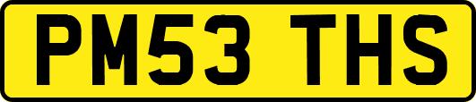 PM53THS