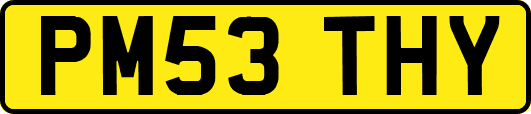 PM53THY