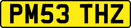 PM53THZ