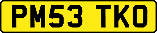 PM53TKO
