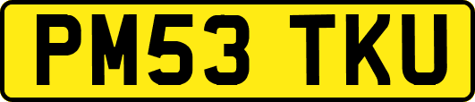 PM53TKU