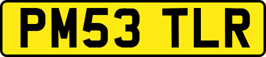 PM53TLR