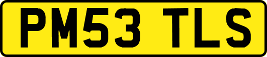 PM53TLS