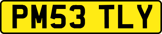 PM53TLY