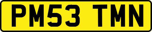 PM53TMN