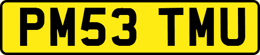 PM53TMU