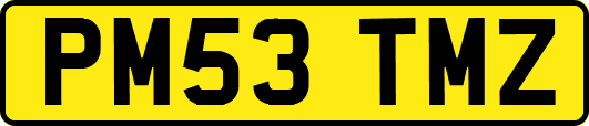 PM53TMZ