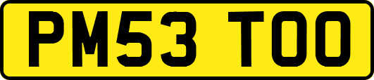 PM53TOO