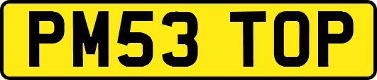 PM53TOP