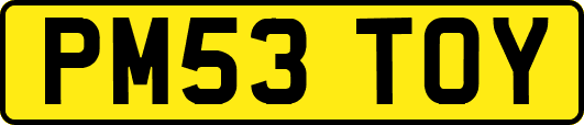 PM53TOY
