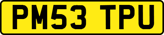 PM53TPU