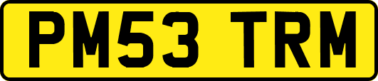 PM53TRM