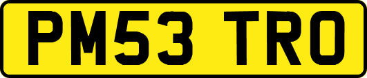 PM53TRO