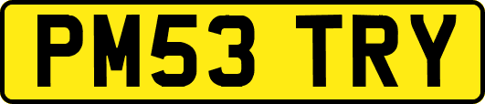 PM53TRY