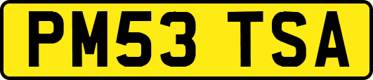 PM53TSA