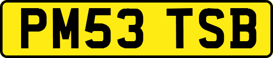 PM53TSB