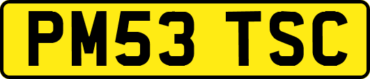 PM53TSC