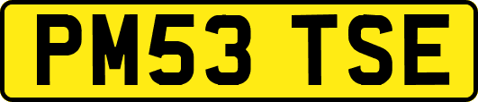 PM53TSE