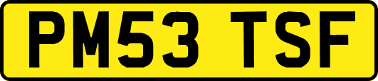 PM53TSF