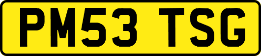 PM53TSG