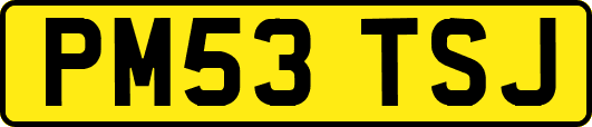 PM53TSJ