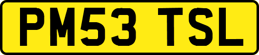 PM53TSL