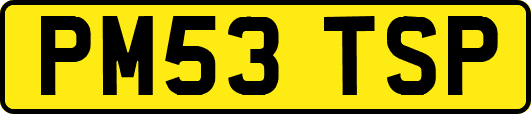 PM53TSP