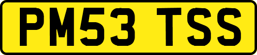 PM53TSS